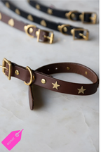 Collier pour chien en cuir marron avec étoiles - ÉCHANTILLON