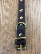 Collier pour chien en cuir marron avec étoiles - ÉCHANTILLON