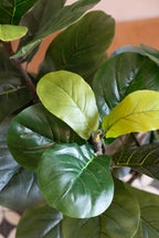 Belle plante artificielle en forme de figue artificielle