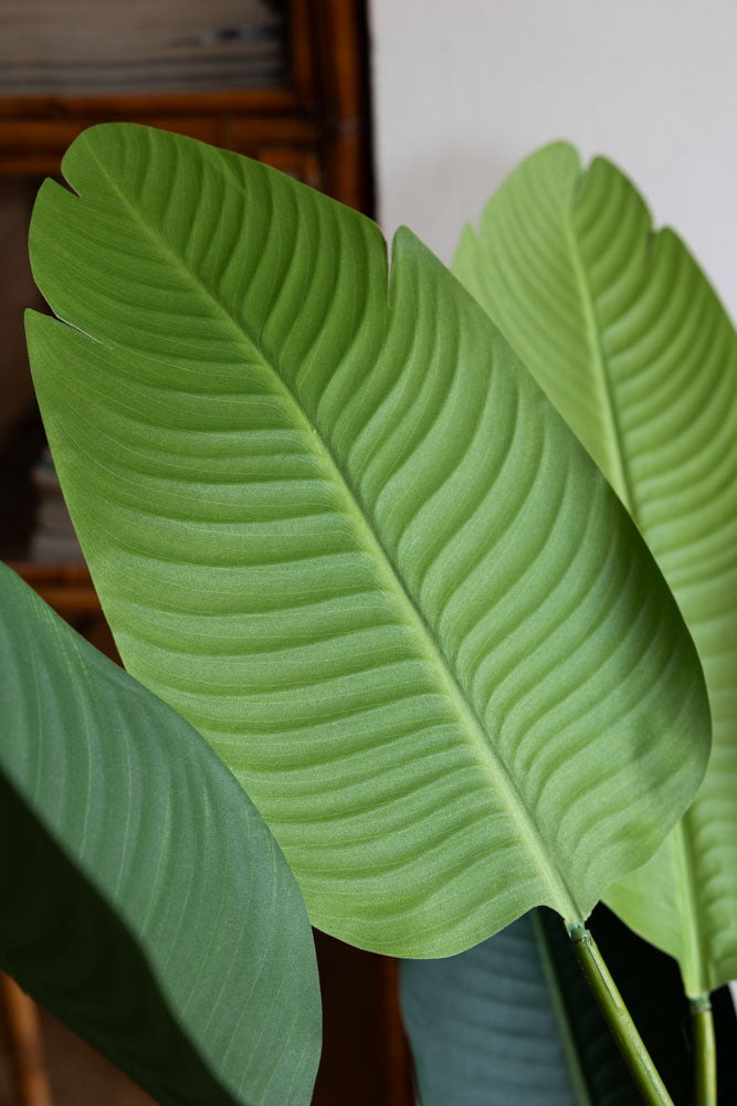 Belle plante artificielle Ravenala