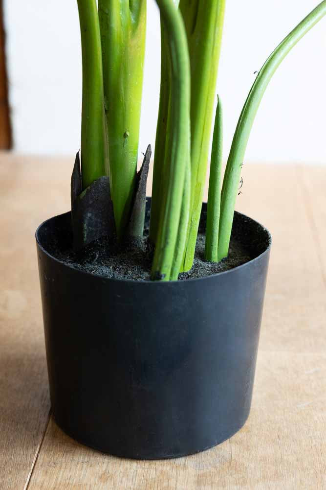 Belle plante artificielle Ravenala