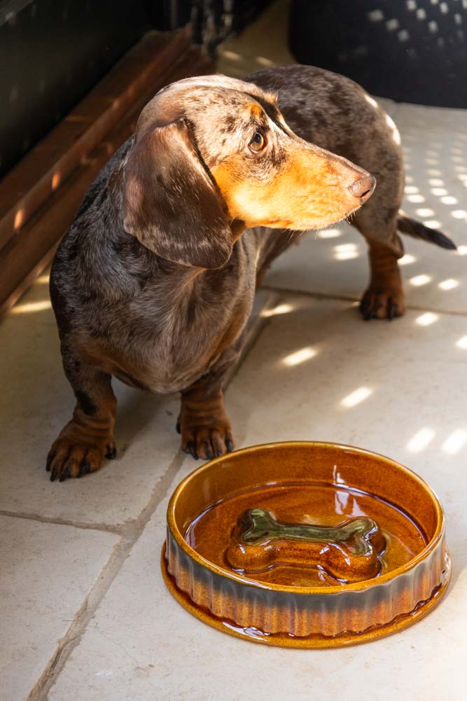 Gamelle pour chien en céramique