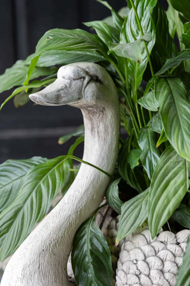 Élégante jardinière en forme de cygne