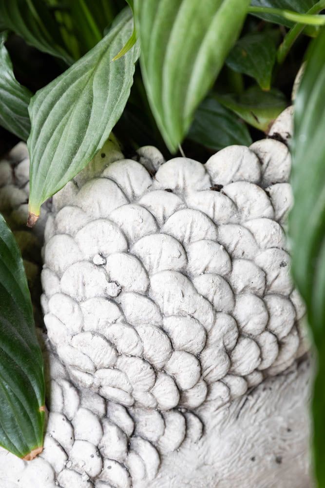 Élégante jardinière en forme de cygne