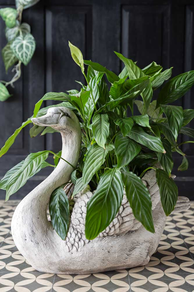 Élégante jardinière en forme de cygne