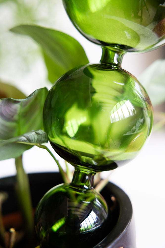 Pipette auto-arrosante en verre vert