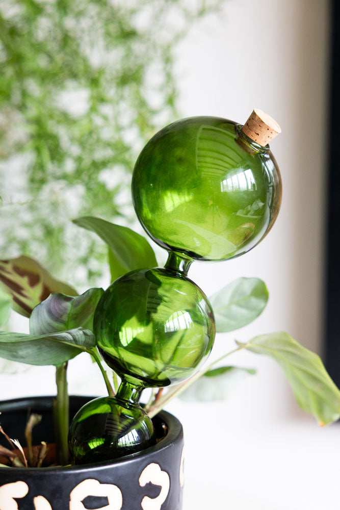 Pipette auto-arrosante en verre vert