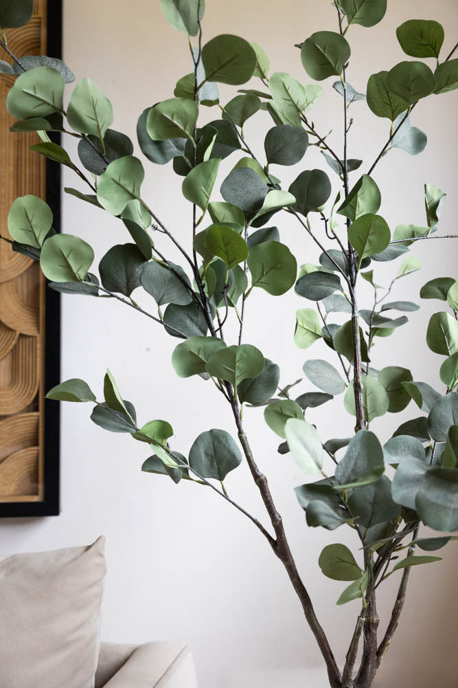 Grande plante d'eucalyptus artificiel en pot