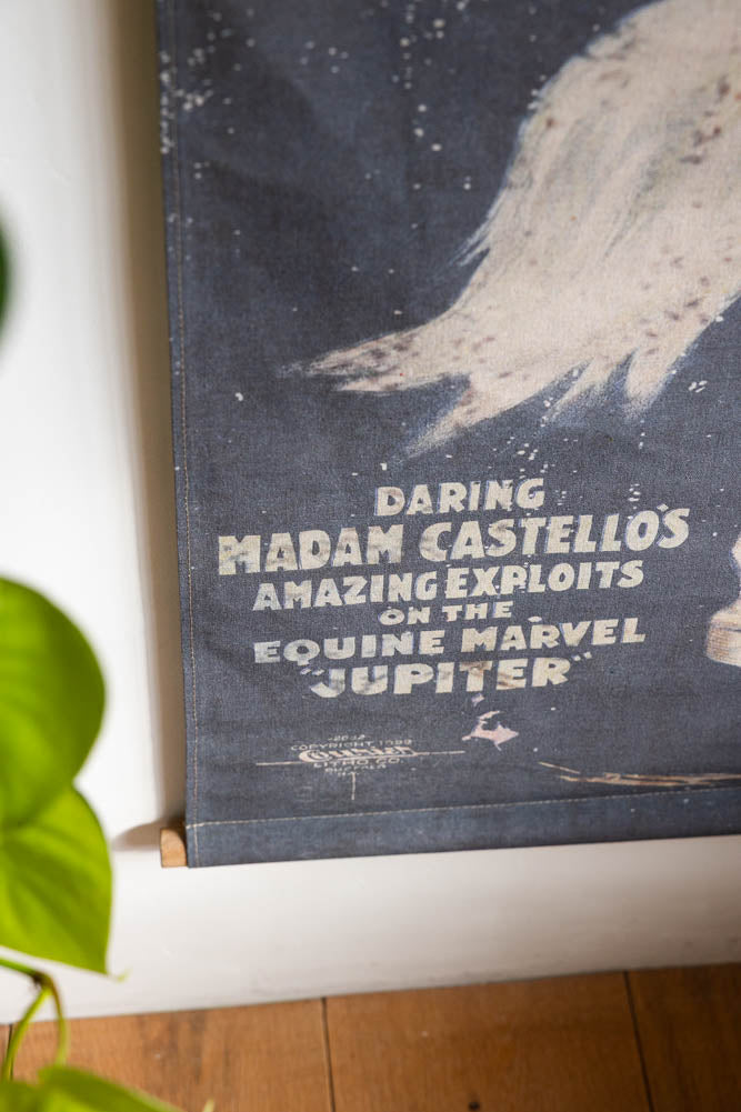 Grande décoration murale de style vintage représentant le plus grand spectacle du monde