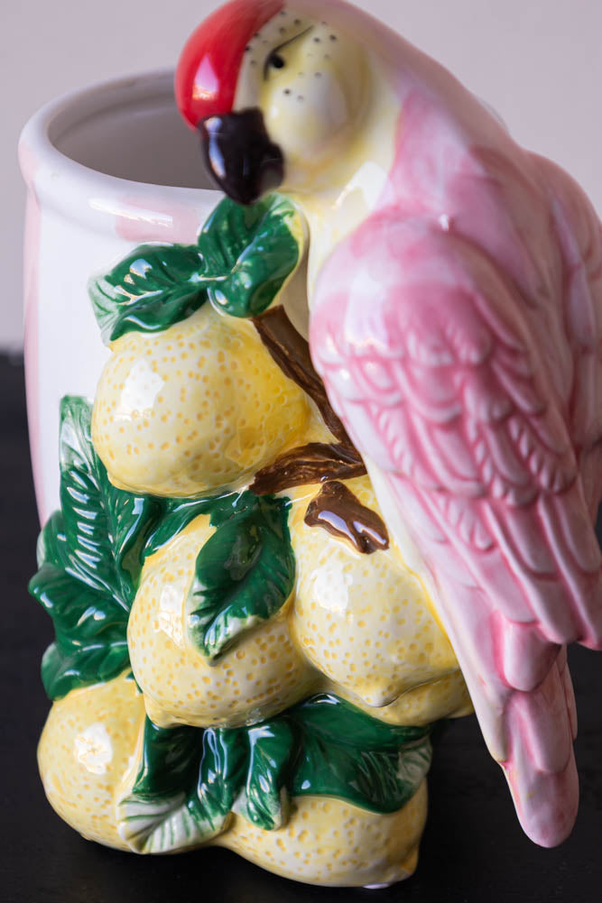 Jardinière d'intérieur à rayures roses citron et perroquet