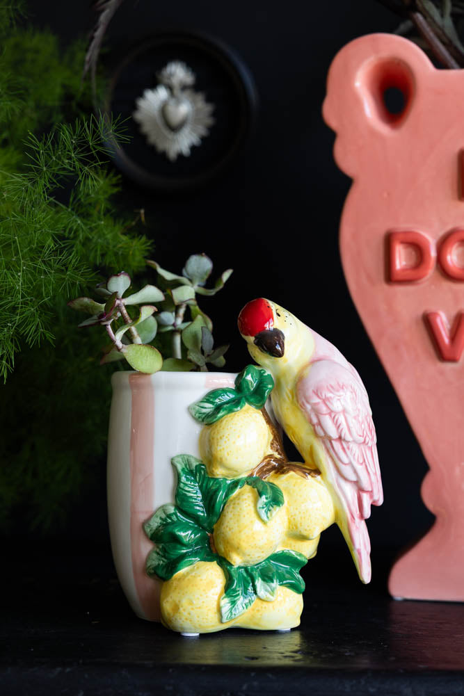 Jardinière d'intérieur à rayures roses citron et perroquet