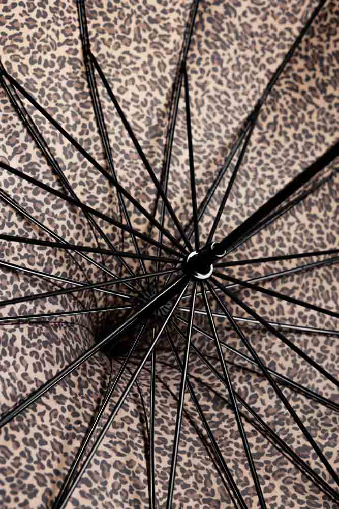 Parapluie à imprimé léopard