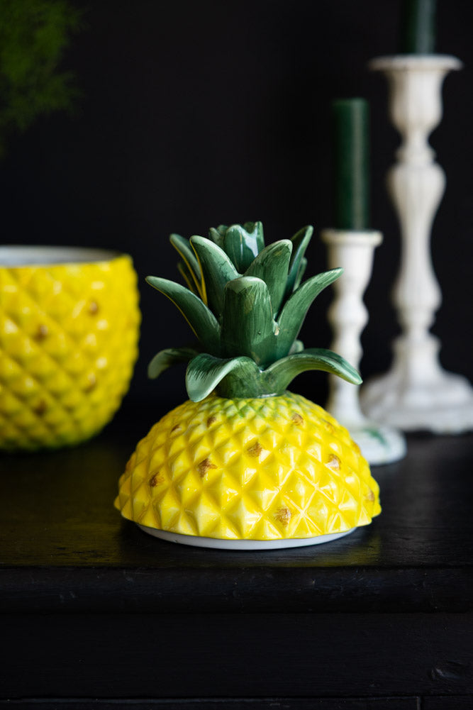 Grand pot de conservation en céramique pour ananas