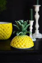 Grand pot de conservation en céramique pour ananas