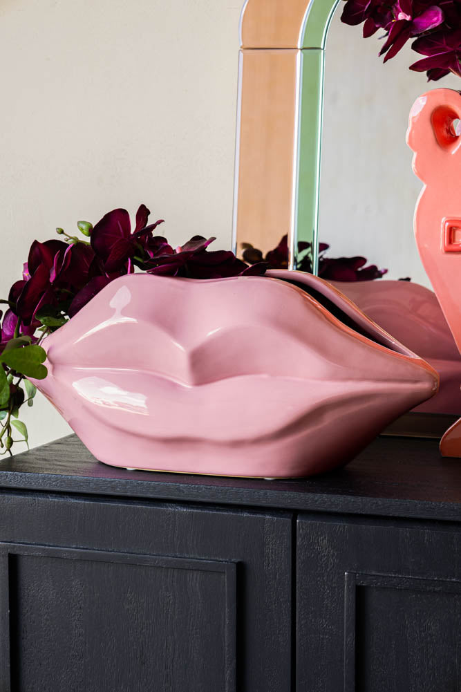 Jardinière d'intérieur à lèvres roses