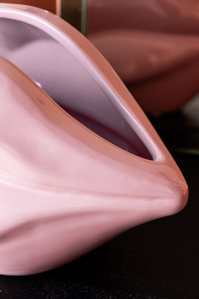 Jardinière d'intérieur à lèvres roses