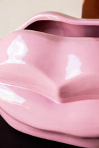 Jardinière d'intérieur à lèvres roses