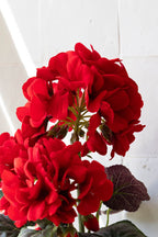 Faux géranium rouge en pot