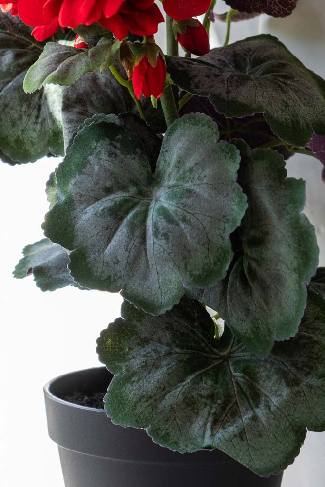 Faux géranium rouge en pot