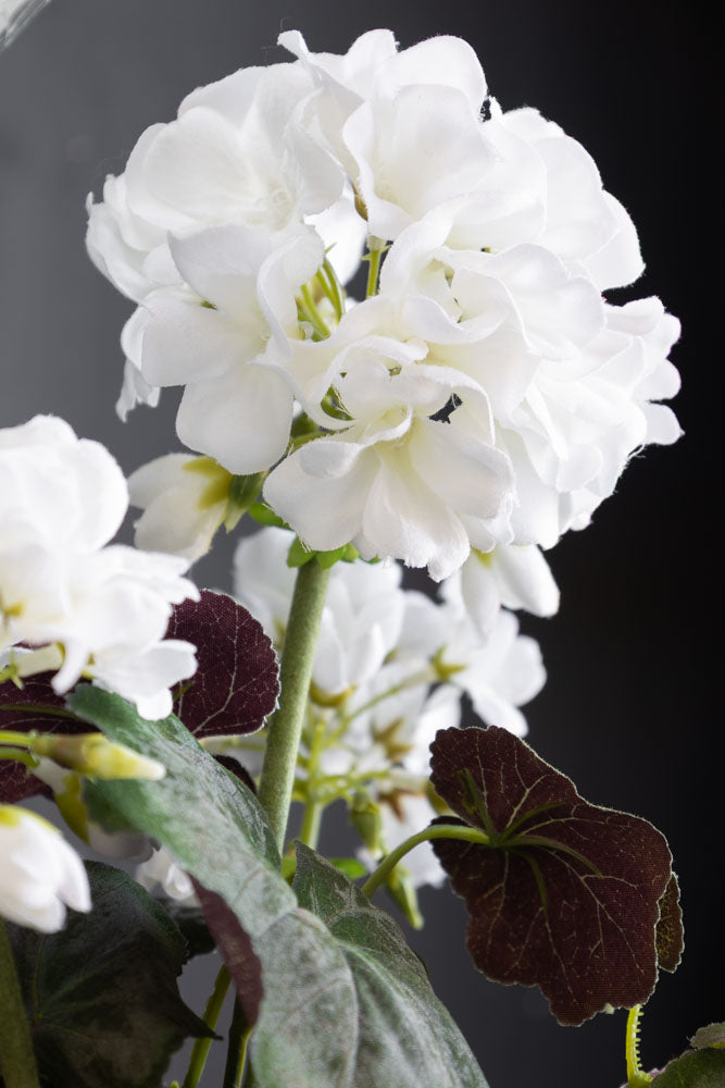 Faux géranium blanc en pot