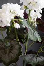 Faux géranium blanc en pot