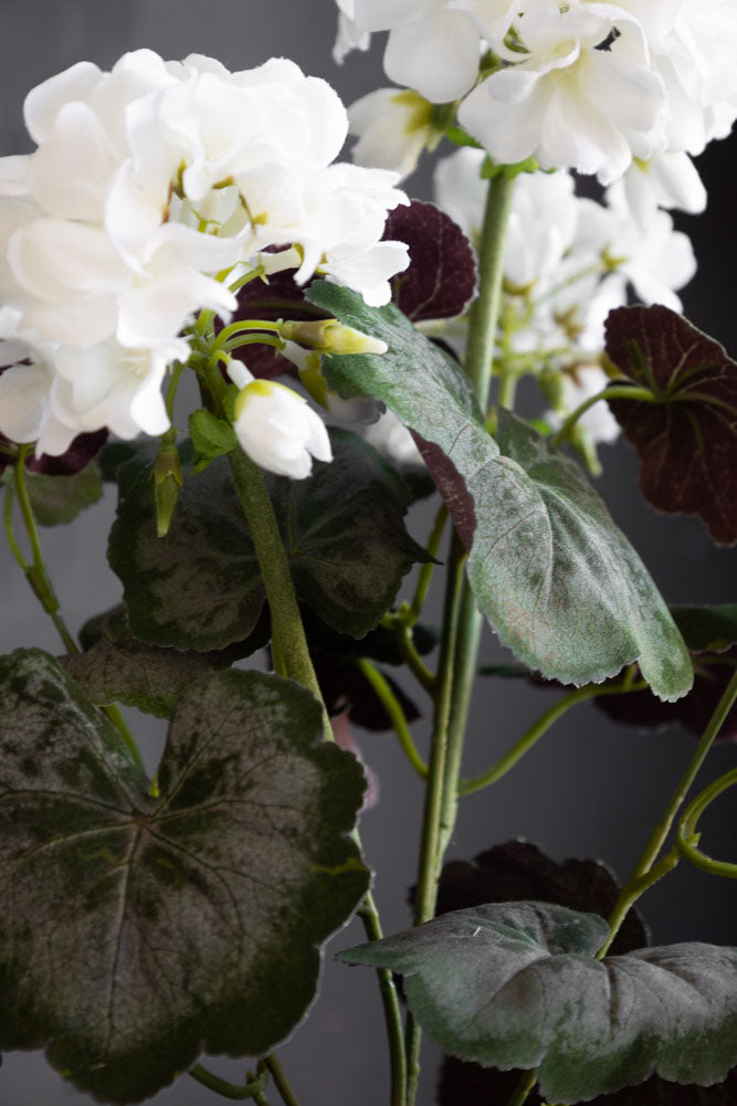 Faux géranium blanc en pot