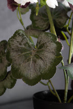 Faux géranium blanc en pot