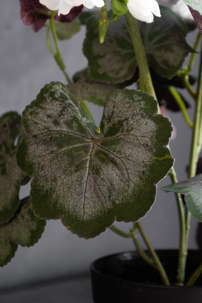 Faux géranium blanc en pot