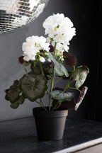 Faux géranium blanc en pot