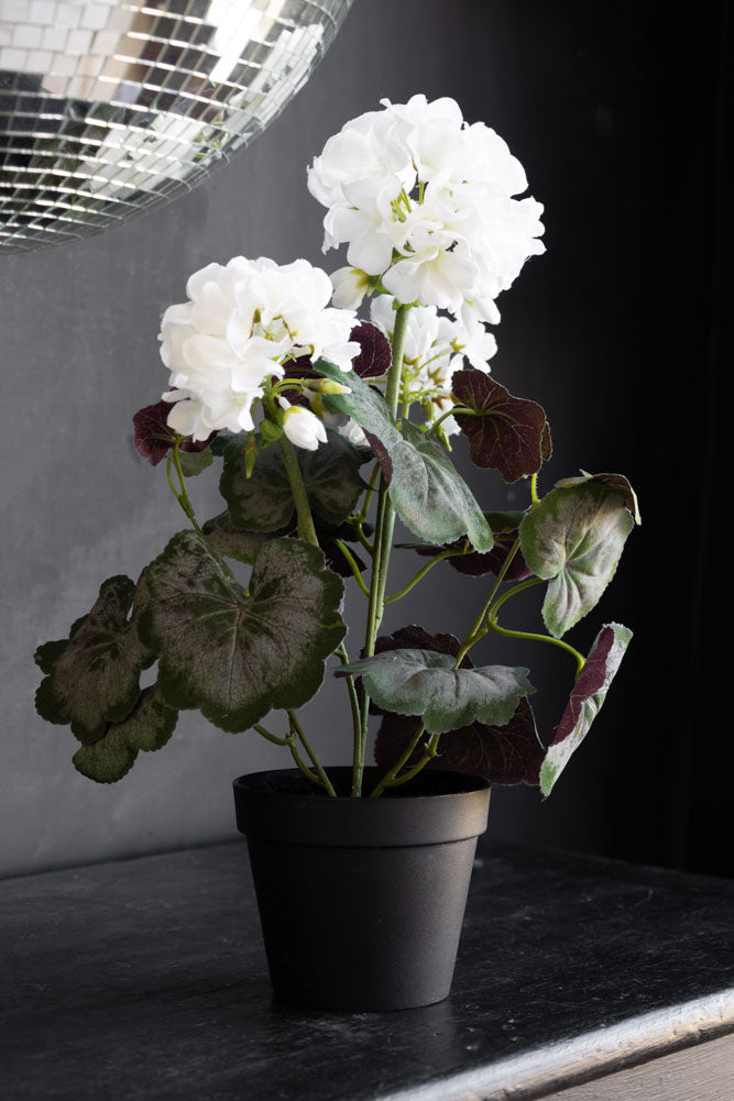 Faux géranium blanc en pot