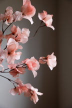 Jolie tige de fleur rose