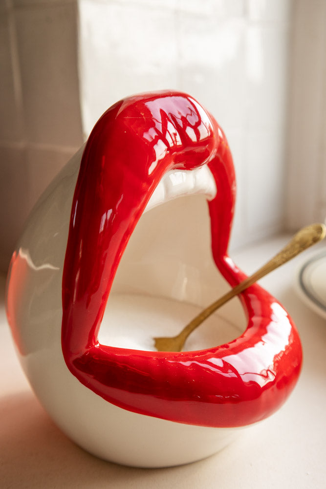 Bocal de rangement à bouche ouverte et lèvres rouges / Cochon de sel