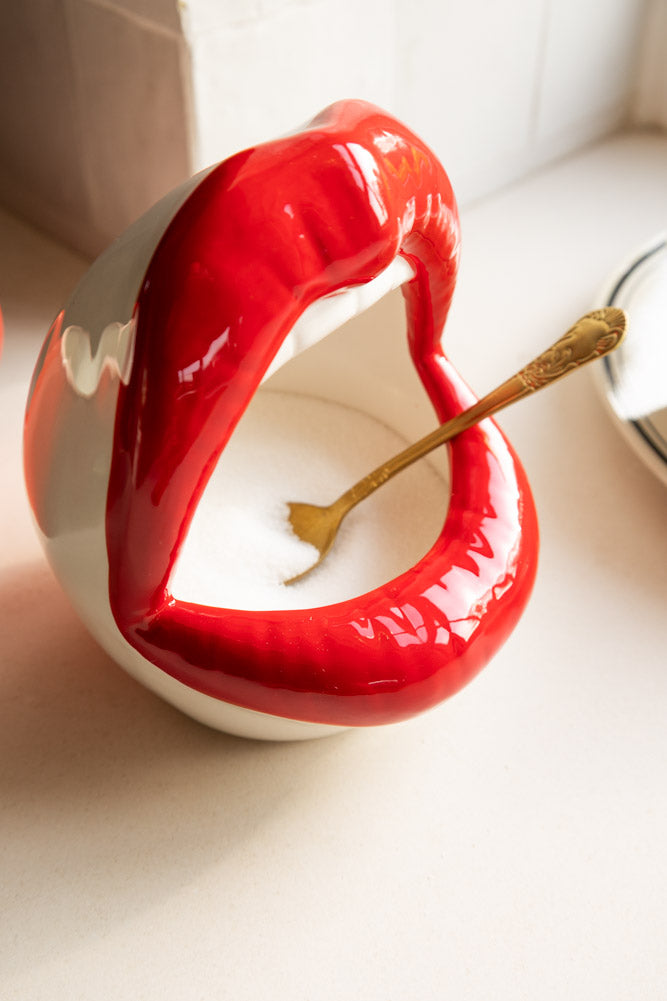 Bocal de rangement à bouche ouverte et lèvres rouges / Cochon de sel