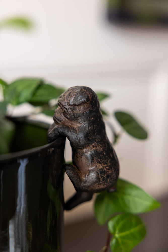 Lot de 2 petites décorations pour chiens grimpeurs