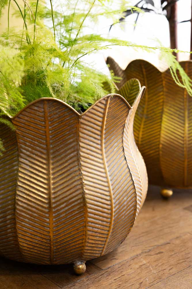 Ensemble de 2 jardinières à pétales rustiques