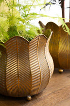 Ensemble de 2 jardinières à pétales rustiques