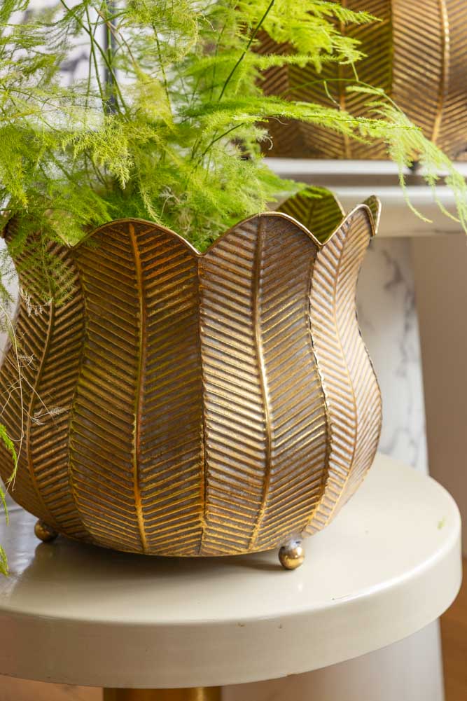 Ensemble de 2 jardinières à pétales rustiques