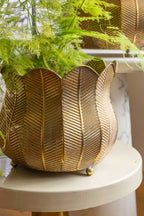 Ensemble de 2 jardinières à pétales rustiques