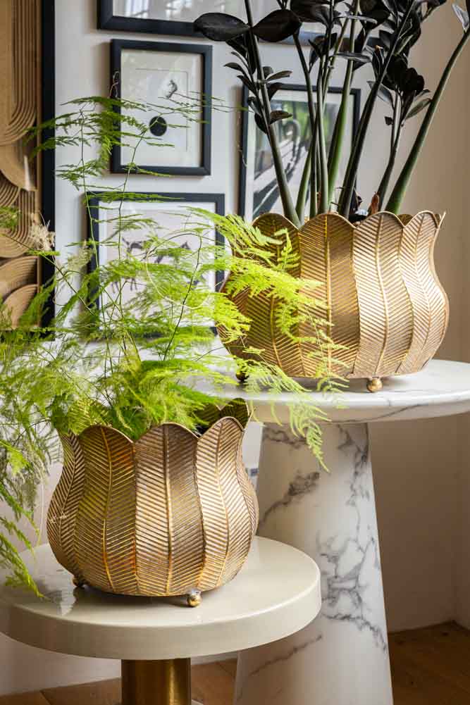 Ensemble de 2 jardinières à pétales rustiques