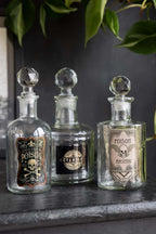 Lot de 3 flacons à poison de style apothicaire