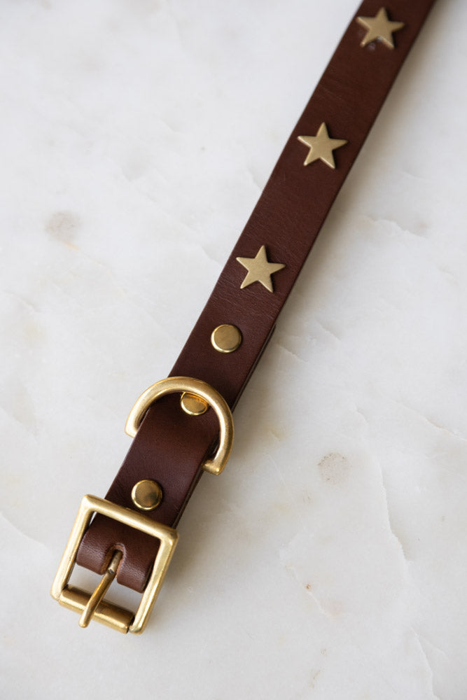 Collier pour chien en cuir marron avec étoiles - ÉCHANTILLON