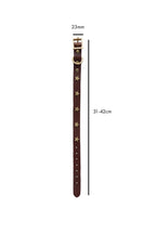 Collier pour chien en cuir marron avec étoiles - ÉCHANTILLON